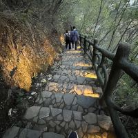 評論圖片 6