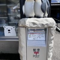 評論圖片 2