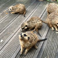 評論圖片 3