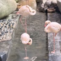 評論圖片 9