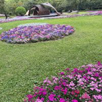 評論圖片 3