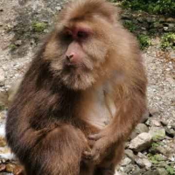 評論圖片 8