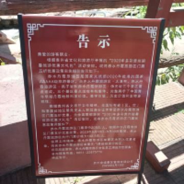 評論圖片 7