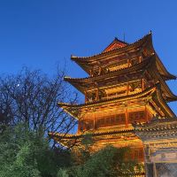 評論圖片 4