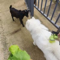 評論圖片 4