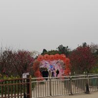 評論圖片 2