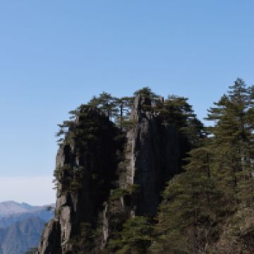 評論圖片 7