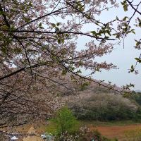 評論圖片 4