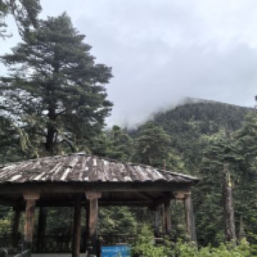 評論圖片 1