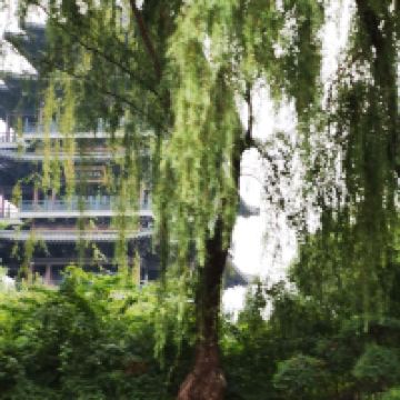 評論圖片 4