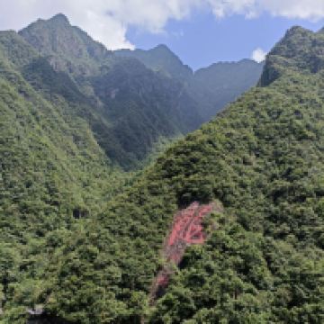 評論圖片 6