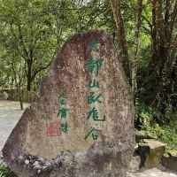 評論圖片 2