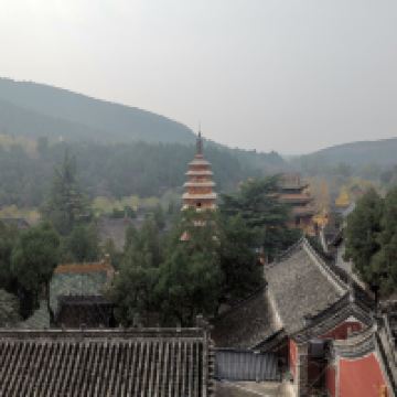 評論圖片 2