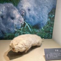 評論圖片 4