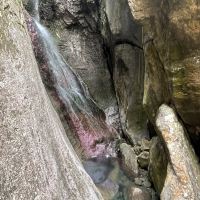 評論圖片 7