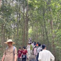 評論圖片 6