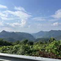 評論圖片 1