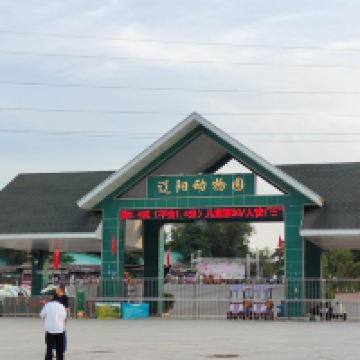 評論圖片 3