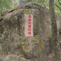 評論圖片 2