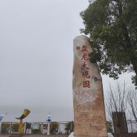 評論圖片 8
