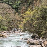 評論圖片 2