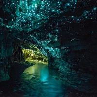評論圖片 6