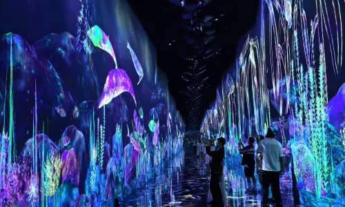 TeamLab Planets TOKYO