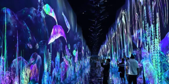 豐洲teamLab Planets TOKYO美術館