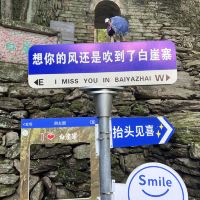 評論圖片 3