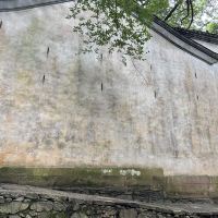 評論圖片 3