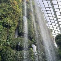 評論圖片 2