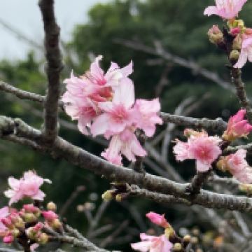 評論圖片 8