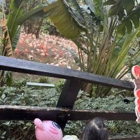 評論圖片 9