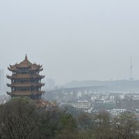 評論圖片 7