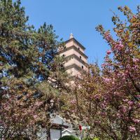 評論圖片 1