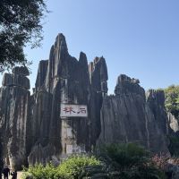 評論圖片 2