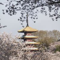 評論圖片 6