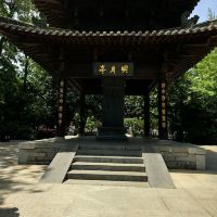 評論圖片 2