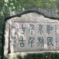 評論圖片 4
