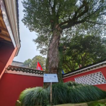 評論圖片 5