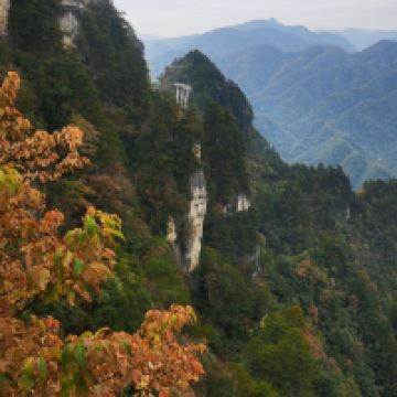 評論圖片 7