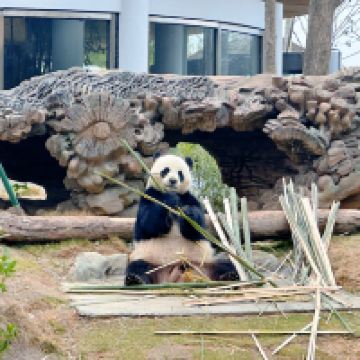 評論圖片 1
