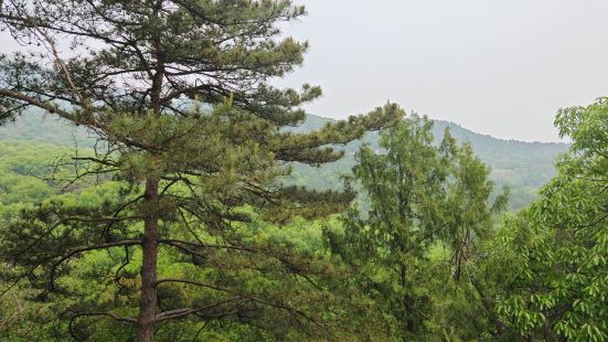 北京西山森林公园，位于京西小西山，跨越海淀、石景山、门头沟三
