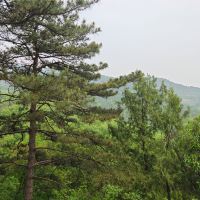 評論圖片 1