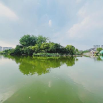 評論圖片 8