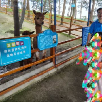 評論圖片 2