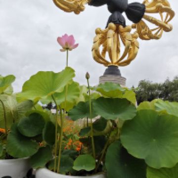 評論圖片 6