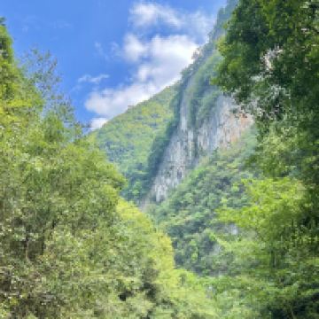 評論圖片 6