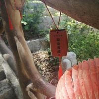 評論圖片 2