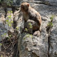 評論圖片 5